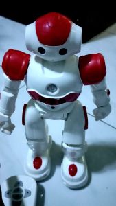 RC Gesture Sensing Robot: A Rechargeable Companion with Free Tennis Balls