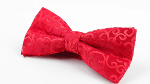 Tinh vi hoa Jacquard có thể điều chỉnh trước ràng buộc cung Tie và bộ túi vuông cho lễ Phục Nam tiệc cưới cà vạt