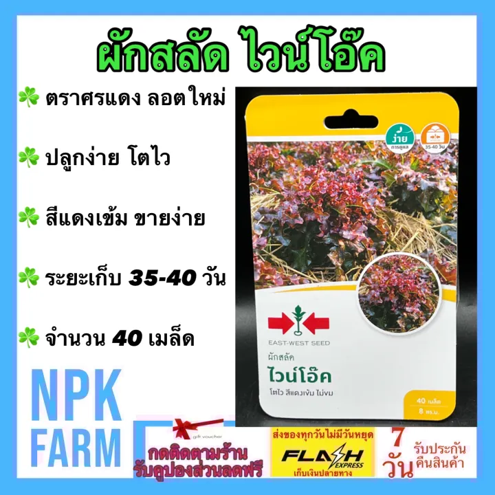 เมล็ดพันธุ์ผักสลัดไวน์โอ๊ค ศรแดง สีแดงเข้ม