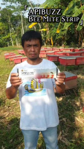 การรักษา Varroa MiteFlumethrin Strip Apibuzz Apiflume 10ชิ้น Bee Mite Stripเครื่องมือการเลี้ยงผึ้งยาสำหรับน้ำผึ้งผึ้งPeralatan Ternak Lebah