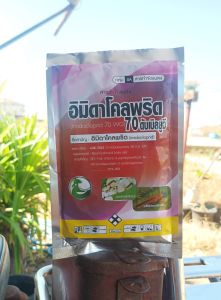 อิมิดาโคลพริด 70  ขนาด 100 กรัม กำจัดแมลง ป้องกันแมลง ยาฆ่าแมลง ยาฆ่าเพลี้ย ศัตรูพืช เพลี้ย เพลี้ยแป้ง