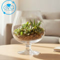 Bình Thủy Tinh Trồng Cây Thủy Sinh Dáng Ly To H32.5cm - Bể Cá Cảnh Brandy LCD Để Bàn Làm Việc Đẹp. 