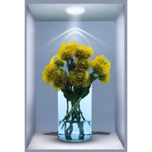 Tranh Dán Tường Nhiều Mẫu khung chậu cây hoa sẵn keo  khổ 30*45cm - Có bán sỉ