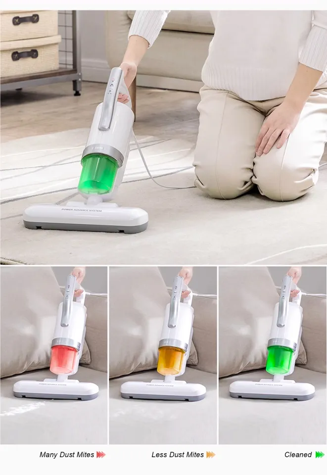 IRIS Ohyama IC-FAC4 Dust Mite Vacuum Cleaner, High Power Model