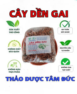 1kg cây dền gai sấy khô hữu cơ