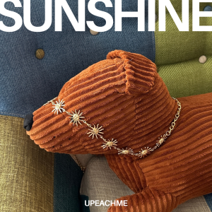 *พร้อมส่ง* Upeachme - Sunshine belt (เอว-39") เข็มขัดจี้พระอาทิตย์อะไหล่เงิน/ทอง สร้อยเงินคาดเอว เข็มขัดอะไหล่เงิน