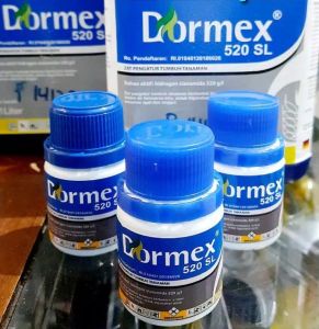 DORMEX PENUMBUH TUNAS TANAMAN