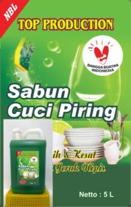 CUCI GUDANG pencuci piring laris