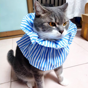 Cute Soft Elizabethan Collar for Cats and Dogs Adjustable Drawstring Recovery Cone Anti-Lick Breathable Pet Neck Ring