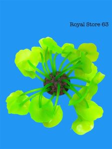 Rong Hải Quỳ Dạ Quang Trang Trí Bể Cá Cảnh Thủy Sinh (Cao 9cm) Mẫu Ngẫu Nhiên