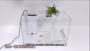Multi Layers Low Suction Filter Tortoise Tank Turtle Kura Kura Filter Rain Bar Big Space