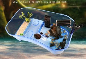 Bể vuông nuôi Rùa Kích thước 60cm x 34cm x 19cm Chính hãng NOMOY PET Chậu nuôi Rùa có đảo nhỏ có máng leo chỗ cho ăn