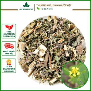 Hy thiêm thảo khô 1kg (Cây hy thiêm) - Chợ Thảo Dược Việt