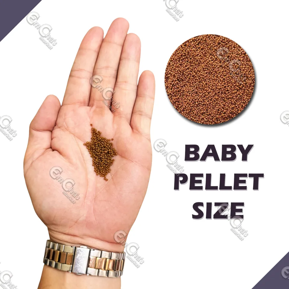 Fry Master Betta Fish Food 50g by JTC (ff) Small Fish Food Betta