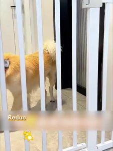 IUGA No Punch Thicked Gate for Baby Safety Dog Gate Child Fence Pet Barrier Stair Gate