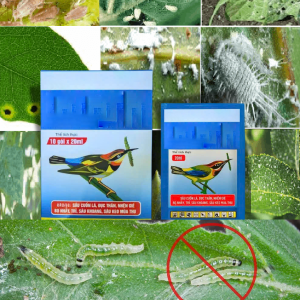 Loại bỏ các loại sâu sâu xanh sâu cuốn lá sâu đục thân đục quả đục lá sâu khoang sâu keo mùa thu sâu vẽ bùa sâu đất sâu tơ bọ nhảy trĩ nhện gié