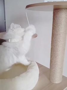 Large Cat Tree Premium House Wood Cat Condo Bed Scratcher House Cat Tower Hammock Cat Climbing 猫爬架猫树