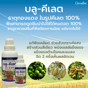 ปุ๋ยน้ำ ธาตุอาหารรอง บลูคีเลต ธาตุทองแดงคีเลตแท้ 100%