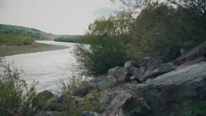 แจ็คเก็ตกันยุง แจ็คเก็ตกันแมลงที่ทนทานพร้อมฮู้ดปรับได้และกระเป๋า เสื้อผ้ากันยุงสำหรับการผจญภัยฤดูร้อน