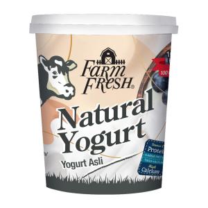 Farm Fresh Yogurt 400G