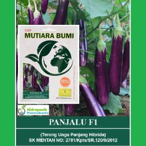 Terong Panjang Ungu Panjalu Cap Mutiara Bumi Isi 500 Butir