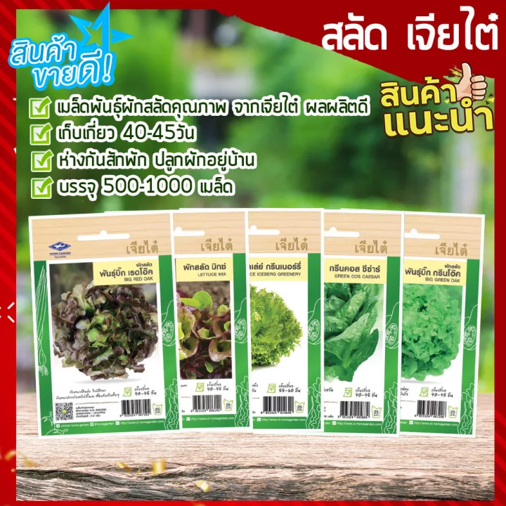 เมล็ดพันธุ์ผักสลัด เจียไต๋ กรีนคอส เรดโอ๊ค กรีนโอ๊ค ฟิลเล่ย์ สลัดมิกซ์
