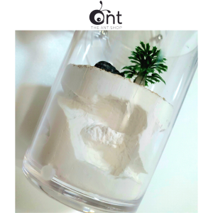 Mini Cylinder Formicarium - Ant Keeping Ant Farm Ant Nest Ant Formicarium Ant Cages Ant Feeding The Ant Shop 蚂蚁 蚁巢 蚂蚁
