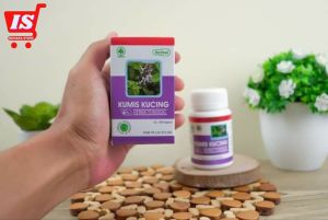 KUMIS KUCING-Mengatasi darah tinggi-kencing manis-kencing batu-infeksi saluran kencing-kencing manis