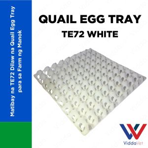 24 Slot White Quail Egg Tray for Proper Egg Organer Animals Quail White Egg Tray for Animals