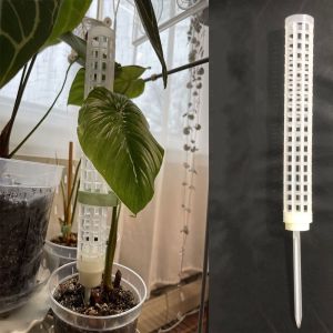 พืชปีนเขากรอบวางซ้อนกันได้พืชมอสติดพลาสติกโหลออกแบบมอสเสากระถางพืชปีนเขาสนับสนุนติด