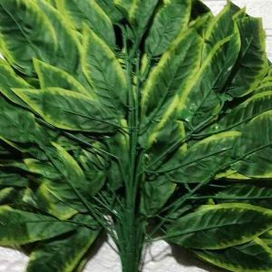 Cành lá kim tứ trang trí decore combo 10 cành