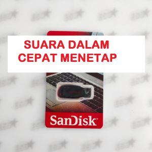 Suara Panggil Walet Dalam Cepat Menetap - Lagu Walet Super Unik Suara Dalam