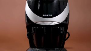 Coffee Maker Home Small Automatic All In One Machine  Drip Coffee  Double Cup Filter Tea Brewing