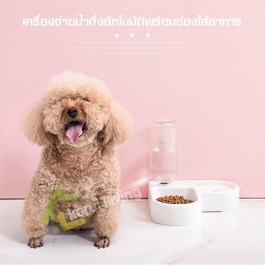 ชามใส่อาหารสุนัข ถ้วยอาหารสุนัข ที่ให้น้ำสัตว์อัตโนมัติ ชามอาหารหมา ชามอาหารแมว ที่ให้อาหารแมว ที่ให้อาหารหมา ที่ให้น้ำอัตโนมัติพร้อมช่องใส่อาหาร