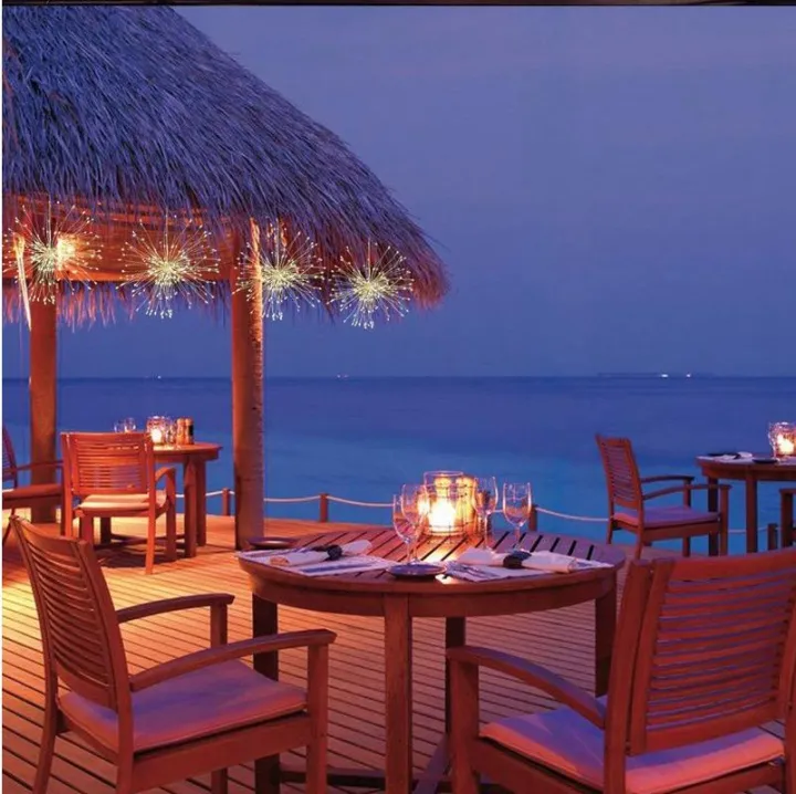 Smart1688%20-%20%C4%90%C3%88N%20LED%20PH%C3%81O%20HOA%20TRANG%20TR%C3%8D%20NH%C3%80,%20S%C3%82N%20V%C6%AF%E1%BB%9CN%20-%20Image%207