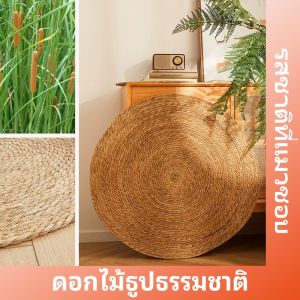 【Clarence-LZ】พร้อมส่ง 3 in 1 วงกลมพรมลับเล็บแมว แผ่นลับเล็บแมว กันข่วน ของเล่นแมว ที่นอนแมว