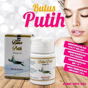 MINYAK BULUS PEMBESAR DAN PENGENCANG PAYUDARA PENYU