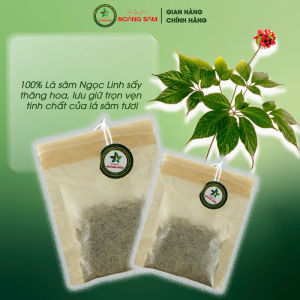 Trà túi lọc LÁ SÂM NGỌC LINH Hộp 10 gói sản phẩm chính hãng. Cam kết SÂM NGỌC LINH trồng tại Nam Trà My Quảng Nam