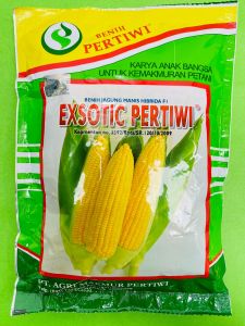 Benih Jagung Manis Pertiwi EXSOTIC PERTIWI 1750 butir 250gram