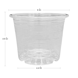 กระถาง กระถางต้นไม้ กระถางใส เบอร์ 6 นิ้ว สีใส 10 ใบ ชิ้น ยกมัด