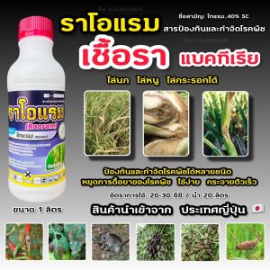 ราโอแรม ไทแรม 40% SC สารป้องกันและกำจัดโรคพืช สารกำจัดเชื้อราและแบคทีเรีย ไล่นก ไล่หนู ไล่กระรอก 1 ลิตร ไธอะโนซาน