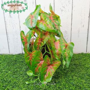 Pohon Artificial Pohon Rambat Juntai Mini Arrowhead Corak Merah Pot Kotak Motif Kayu Hiasan Meja