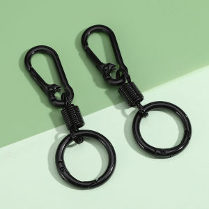 Colorful Spring Keychain 5pcs Zinc Alloy Carabiner Hook for Keys Bag Decoration