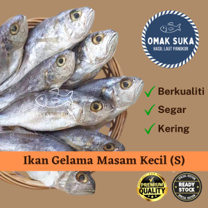 Ikan Masam Gelama Pulau Pangkor Gred 5AIkan Masin Gelamah (100g)