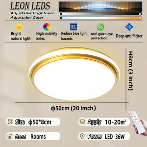 Modern Design LED Ceiling Light 48W 3 Color Dimmable /Remote Control Bedroom/Living Room Light For House Indoor Lighting
