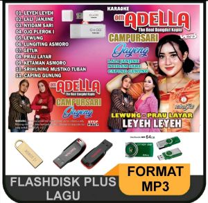 FD ADELLA FLASHDISK CAMPUR SARI FLASHDRIVE PLUS MP3