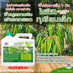 ปุ๋ยทุเรียนเล็ก ไม่โต โตช้า ใบเหลือง ค้างคาวดี(ของแท้)5ลิตร เร่งแตกยอด เร่งต้นโตไว F1D-5L