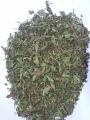 wild mint powder pudina chooranam (Mentha arvensis) corn mint serbuk daun pudina liar ginger mint japanese. 