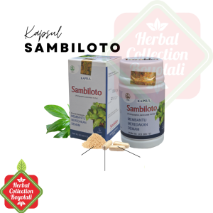 TAZAKKA Kapsul Herbal Sambiloto - Penyegar dan Pemberat Organik dengan Ekstrak Daun Sambiloto Asli
