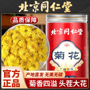 [NEW][Penghantaran Privasi Tinggi] Beijing Tongrentang Chrysanthemum Herbal Tea Chrysanthemum Tea Bud Tea Flower Tea Chrysanthemum Tea Dry Sulfur-Free Additive-Free Authentic Product